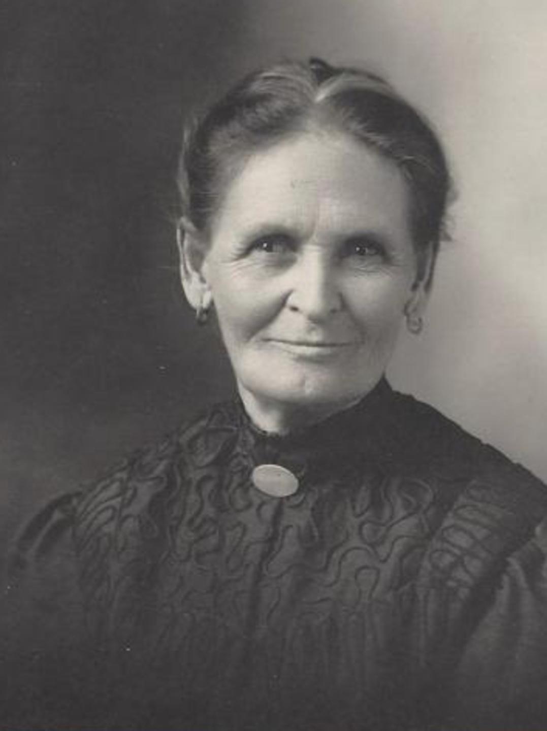 Sarah Jane Alleman (1847 - 1920) Profile